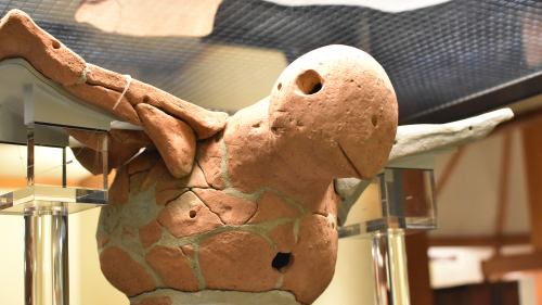 haniwa of a bird spreading wings