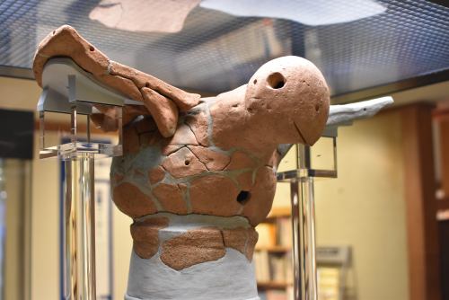 a bird spreading its wings