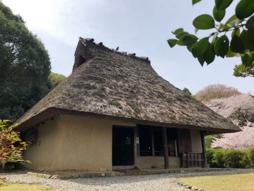 the Tanimura family's house (1)