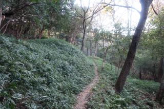 a track in the kofun area